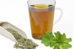Ladys-Mantle-Tea
