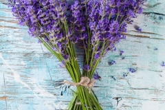 Bunch-of-lavender