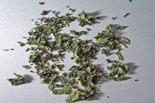 Dried-Leaves-of-Lemon-Balm
