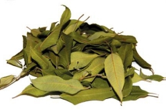 Dried-Leaves-of-Lemon-myrtle