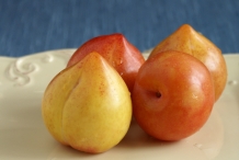 Closer-view-of-Lemon-plum-fruit