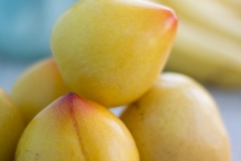 Lemon-plum-collection