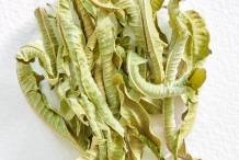 Dried-leaves-of-Lemon-Verbena