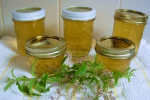 Lemon-Verbena-jam