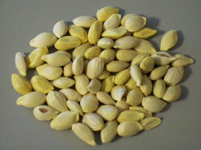 Lemon-seeds