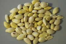 Lemon-seeds