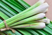 Lemongrass