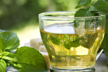 Lesser-Calamint-Tea