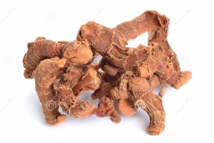 Dried-rhizomes-of-Lesser-galangal