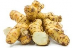 Rhizomes-of-Lesser-galangal