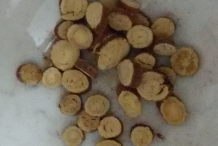 Slices-of-Licorice-root