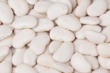 Lima-beans