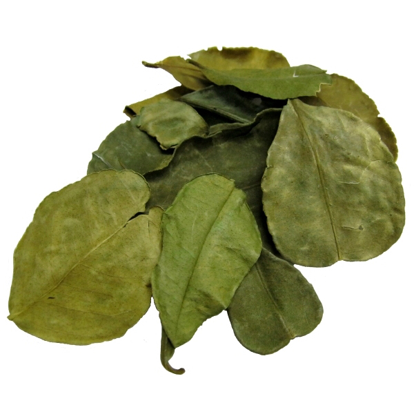 Lime-leaves-dried