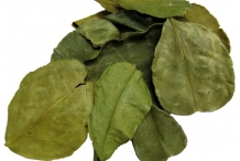 Lime-leaves-dried