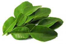 Lime-leaves