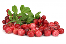Lingonberries