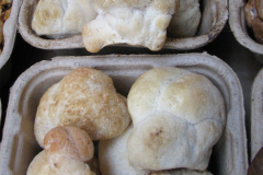Lion's-mane-mushroom-sold-in-market