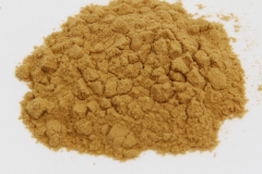 Powdered-Lion's-mane-mushroom