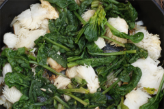 Recipe-with-Lion's-mane-mushroom