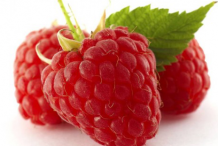 Loganberry