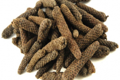 Dried-Long-Pepper