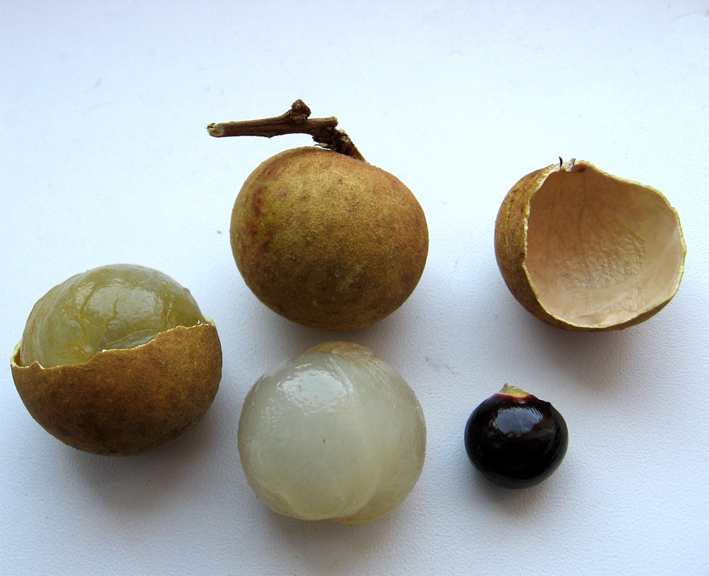 Longan-Fruit