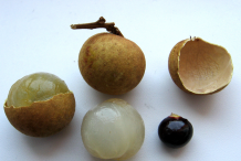 Longan-Fruit