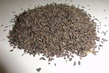 Seeds-of-Lousewort