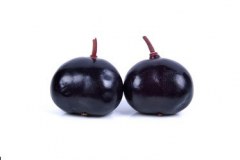 Mature-fruits-of-Luna-Nut