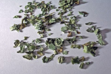 Dried-Lungwort