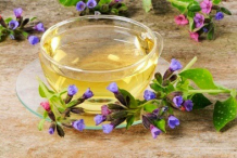 Lungwort--Tea