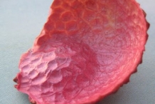 Lychee-peel