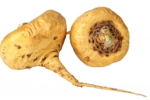 Maca-roots