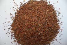 Maca-seeds