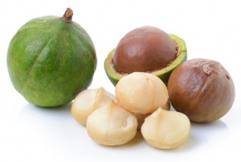 Green-Macadamia-nuts-cracked