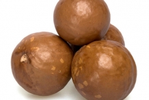 Macadamia-nut-shell
