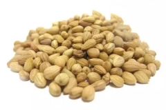 Seeds-of-Mahaleb-cherry