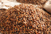 Mahua-for-sale-in-local-market