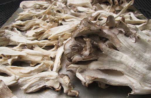Pieces-of-Maitake-Mushroom