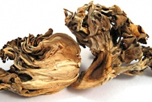 Dried-Maitake-Mushroom