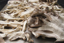 Pieces-of-Maitake-Mushroom