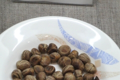 Malabar-chestnut-seeds