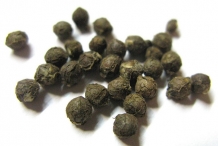 Seeds of Malabar spinach