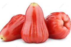 Malay-Apple