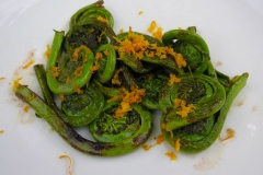 Sauteed-fiddleheads-of-Male-Fern