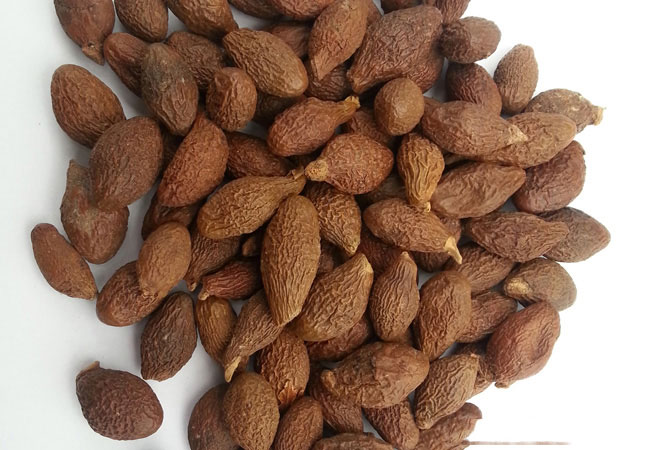 Malva-Nut