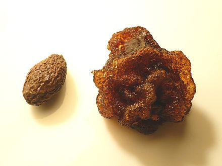 Soaked-seed-of-Malva-Nut