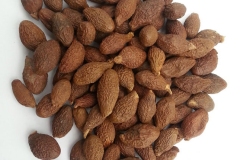 Malva-Nut