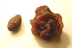 Soaked-seed-of-Malva-Nut