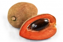 Mamey-sapote-fruit-half-cut